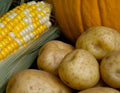 Potato, Corn & Bacon, (Gameze) Soup - 600g - Serves 2