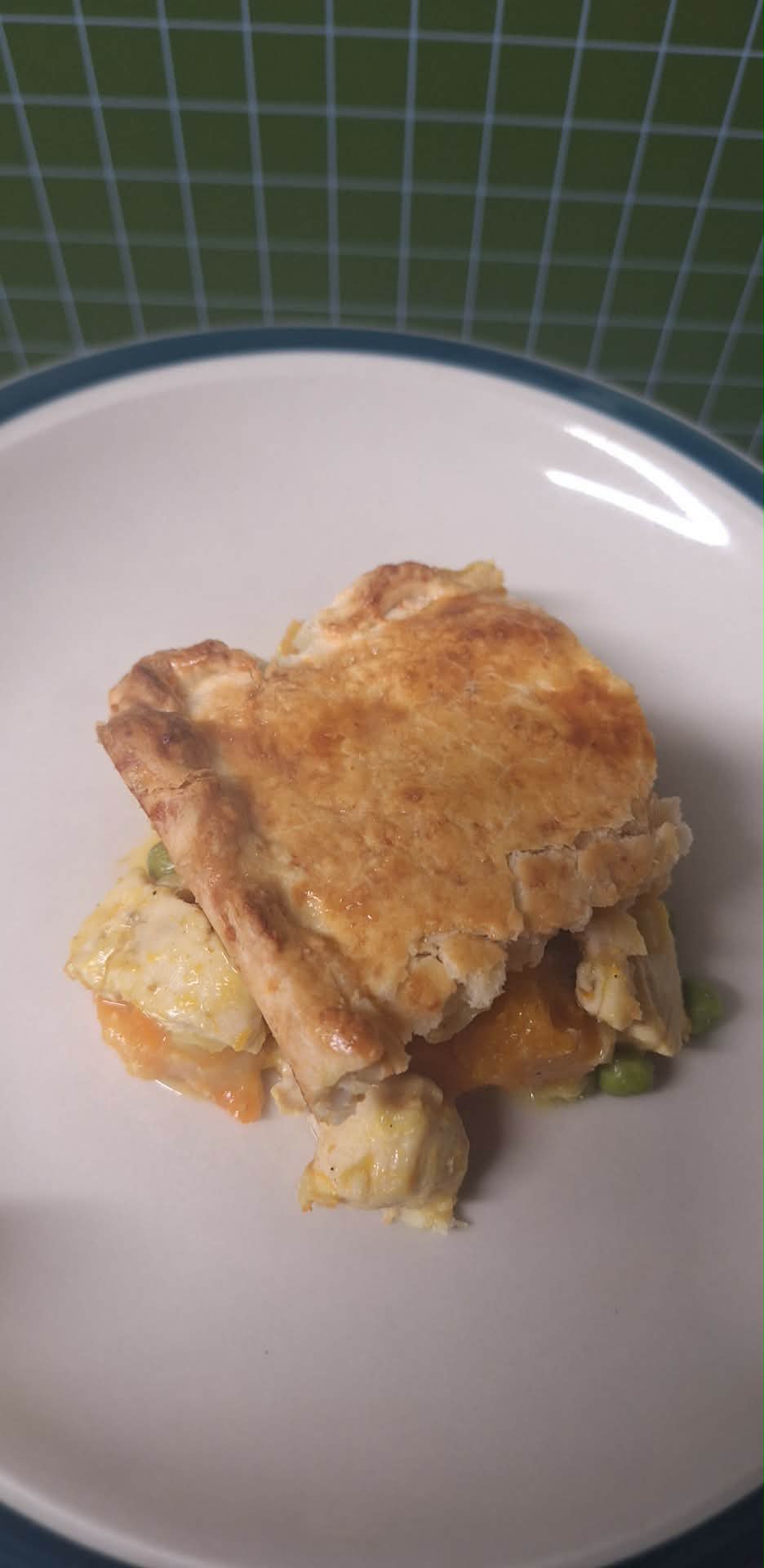 Chicken & Veg Pot Pie - Serves 4